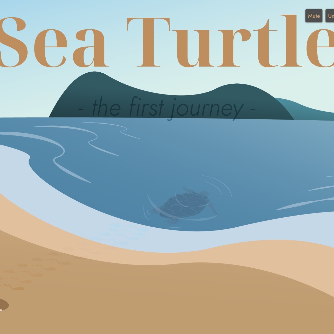 A website about sea turtle's life